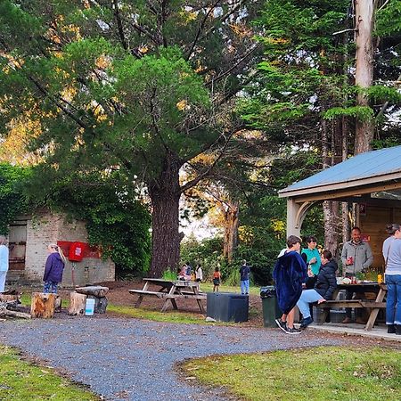 Zeehan Bush Camp Esterno foto