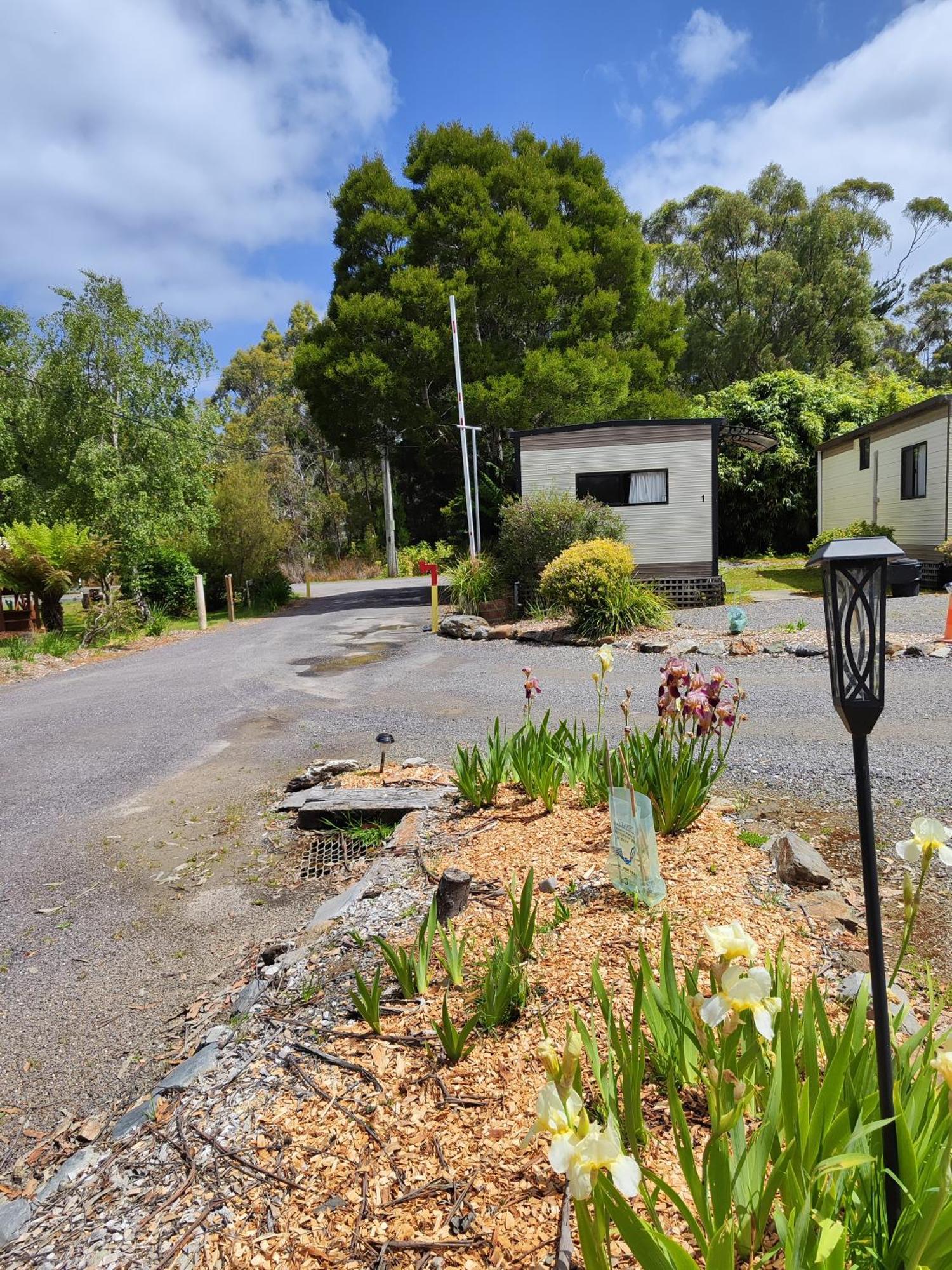 Zeehan Bush Camp Esterno foto